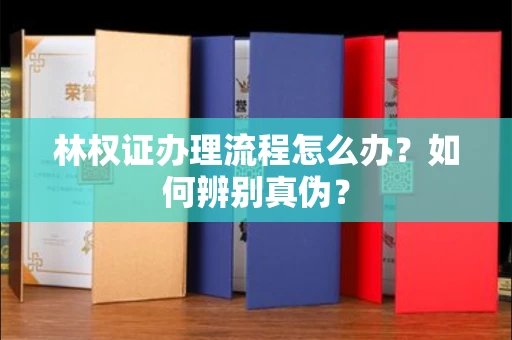 福州林权证办理流程怎么办?如何辨别真伪?